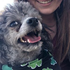 Meet your Posher, Abby